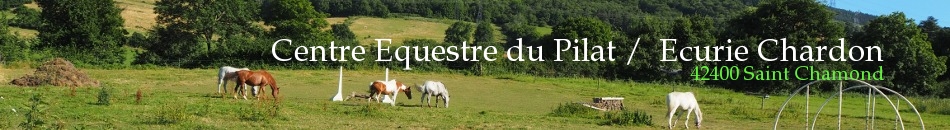Centre Equestre du Pilat /  Ecurie Chardon